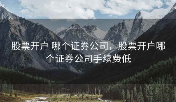 股票开户 哪个证券公司，股票开户哪个证券公司手续费低