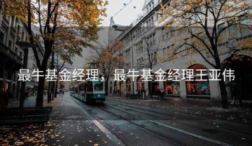 最牛基金经理，最牛基金经理王亚伟