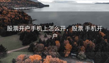 股票开户手机上怎么开，股票 手机开户