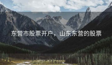 东营市股票开户，山东东营的股票