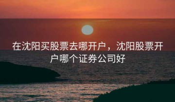 在沈阳买股票去哪开户，沈阳股票开户哪个证券公司好