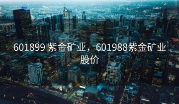 601899 紫金矿业，601988紫金矿业股价