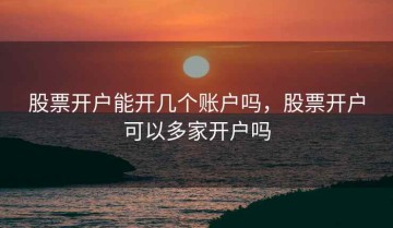 股票开户能开几个账户吗，股票开户可以多家开户吗
