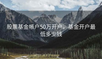 股票基金帳户50万开户，基金开户最低多少钱