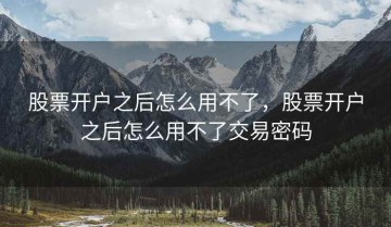 股票开户之后怎么用不了，股票开户之后怎么用不了交易密码