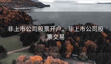 非上市公司股票开户，非上市公司股票交易