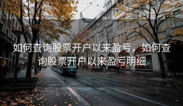 如何查询股票开户以来盈亏，如何查询股票开户以来盈亏明细