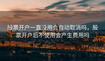 股票开户一直没用会自动取消吗，股票开户后不使用会产生费用吗