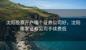 沈阳股票开户哪个证券公司好，沈阳哪家证券公司手续费低