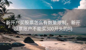 新开户买股票怎么有数量限制，新开股票账户不能买300开头的吗