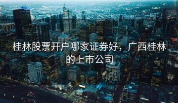 桂林股票开户哪家证券好，广西桂林的上市公司