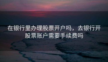 在银行里办理股票开户吗，去银行开股票账户需要手续费吗