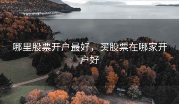 哪里股票开户最好，买股票在哪家开户好