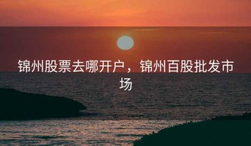 锦州股票去哪开户，锦州百股批发市场