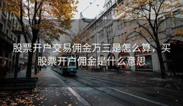 股票开户交易佣金万三是怎么算，买股票开户佣金是什么意思