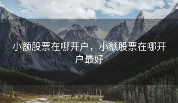 小额股票在哪开户，小额股票在哪开户最好