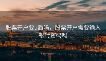 股票开户要u盾吗，股票开户需要输入银行密码吗