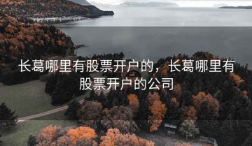 长葛哪里有股票开户的，长葛哪里有股票开户的公司