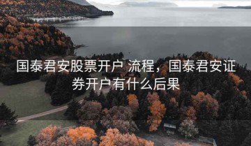 国泰君安股票开户 流程，国泰君安证券开户有什么后果