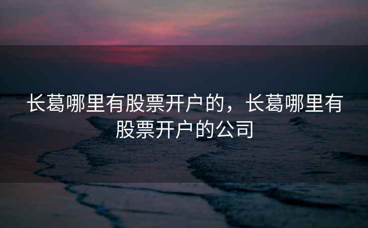 长葛哪里有股票开户的，长葛哪里有股票开户的公司