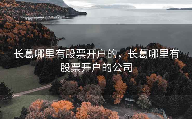 长葛哪里有股票开户的，长葛哪里有股票开户的公司