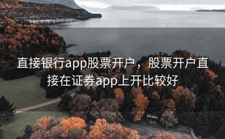 直接银行app股票开户，股票开户直接在证券app上开比较好