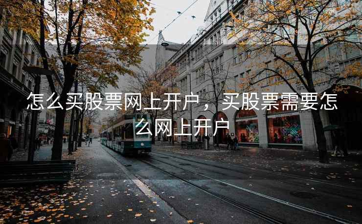 怎么买股票网上开户，买股票需要怎么网上开户