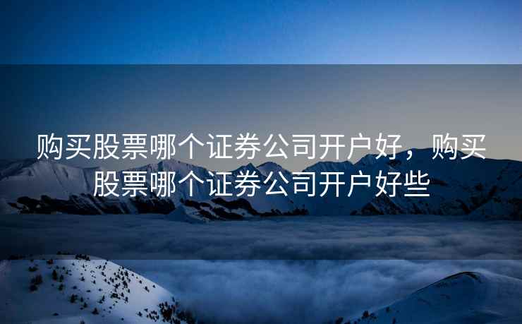 购买股票哪个证券公司开户好，购买股票哪个证券公司开户好些