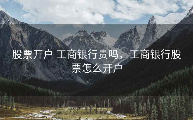 股票开户 工商银行贵吗，工商银行股票怎么开户