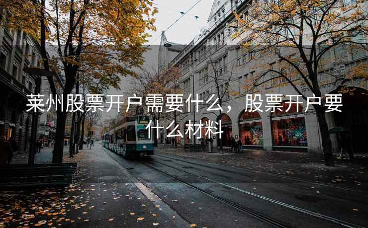 莱州股票开户需要什么，股票开户要什么材料