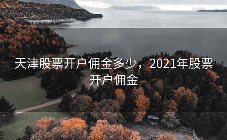 天津股票开户佣金多少，2021年股票开户佣金