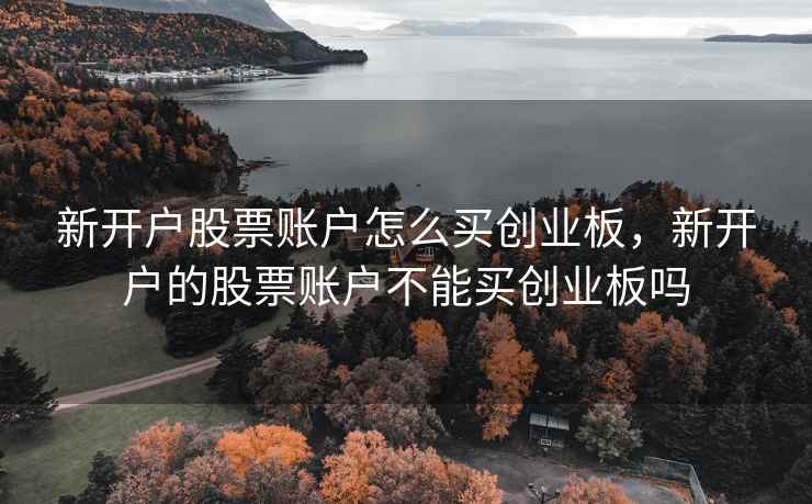 新开户股票账户怎么买创业板，新开户的股票账户不能买创业板吗
