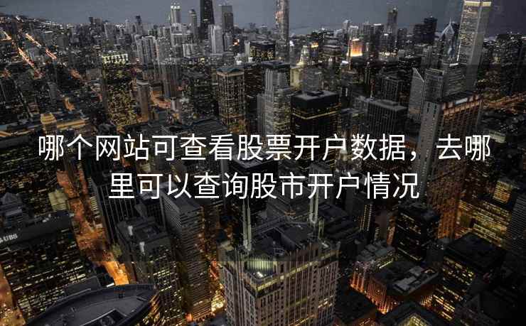 哪个网站可查看股票开户数据，去哪里可以查询股市开户情况