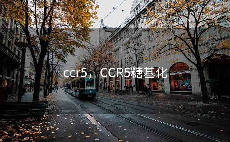 ccr5，CCR5糖基化