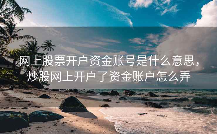网上股票开户资金账号是什么意思，炒股网上开户了资金账户怎么弄