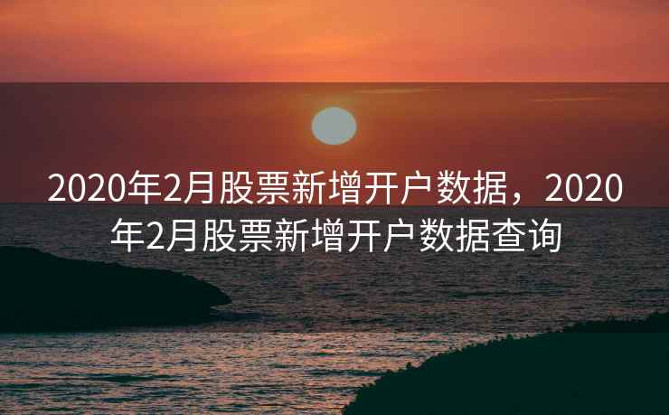 2020年2月股票新增开户数据，2020年2月股票新增开户数据查询