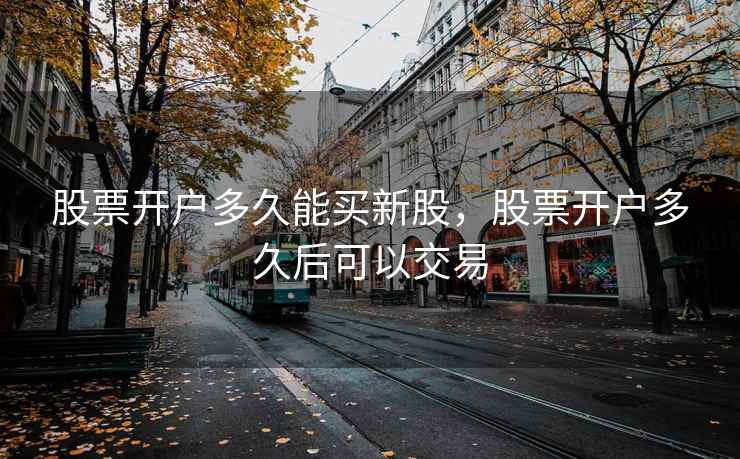 股票开户多久能买新股，股票开户多久后可以交易