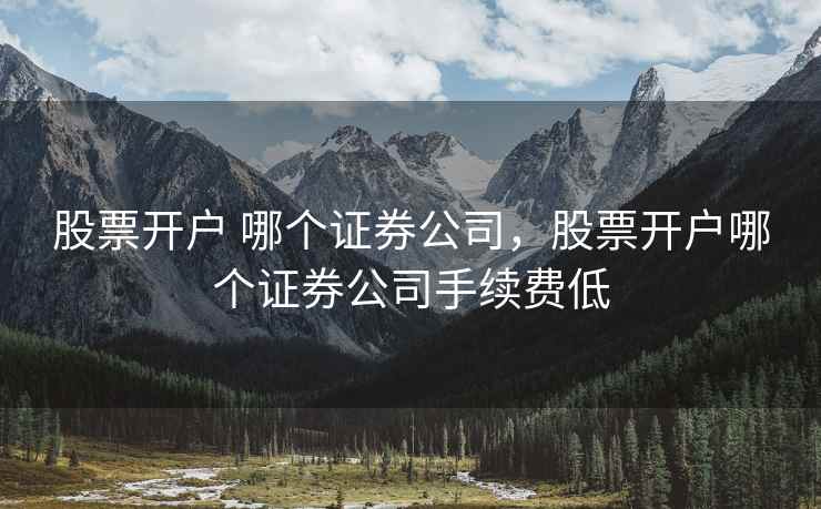 股票开户 哪个证券公司，股票开户哪个证券公司手续费低