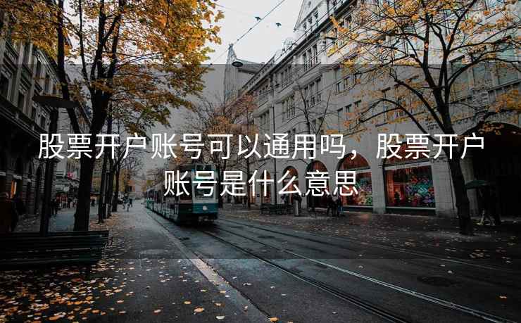 股票开户账号可以通用吗，股票开户账号是什么意思
